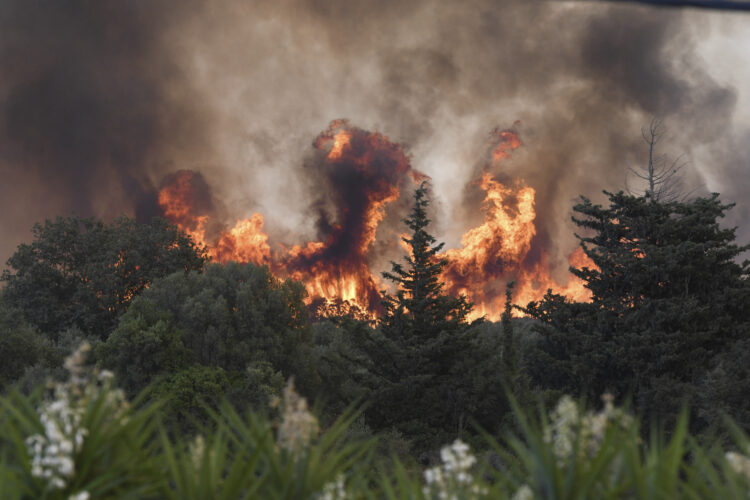 Wildfires burn parts of Europe: Millions across the continent face record heat